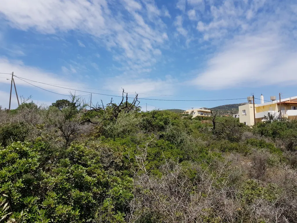 Land Of 6000 M² In Crete