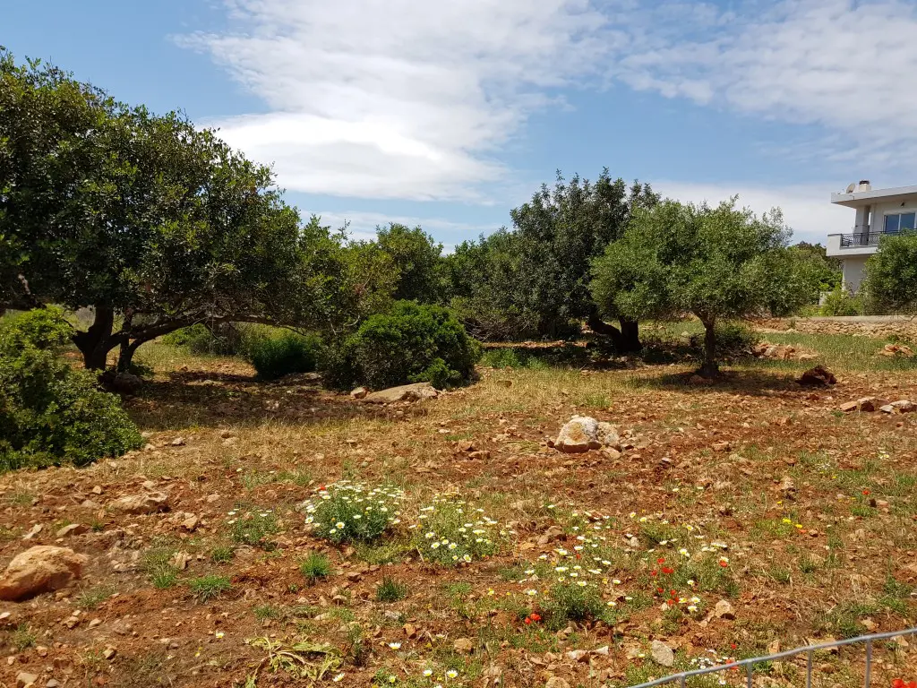 Land Of 4542 M² In Crete