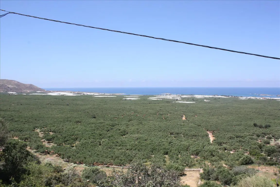 Hotel Of 256 M² In Crete