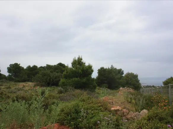 Land In Akrotiri, Greece