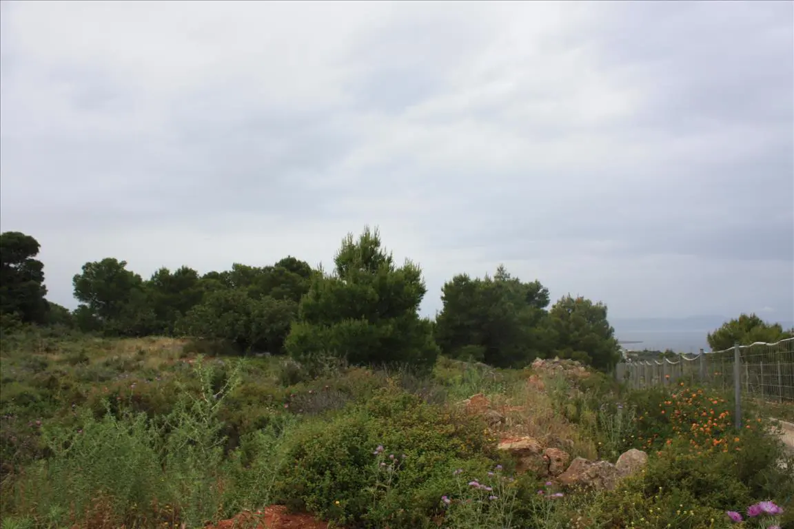 Land Of 5900 M² In Crete