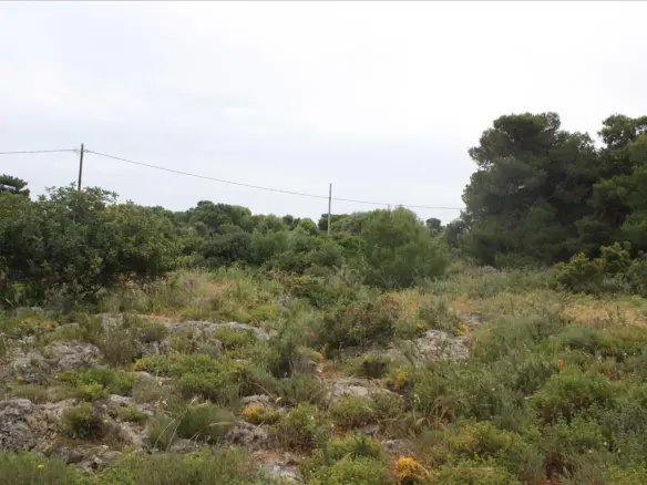 Land In Akrotiri, Greece