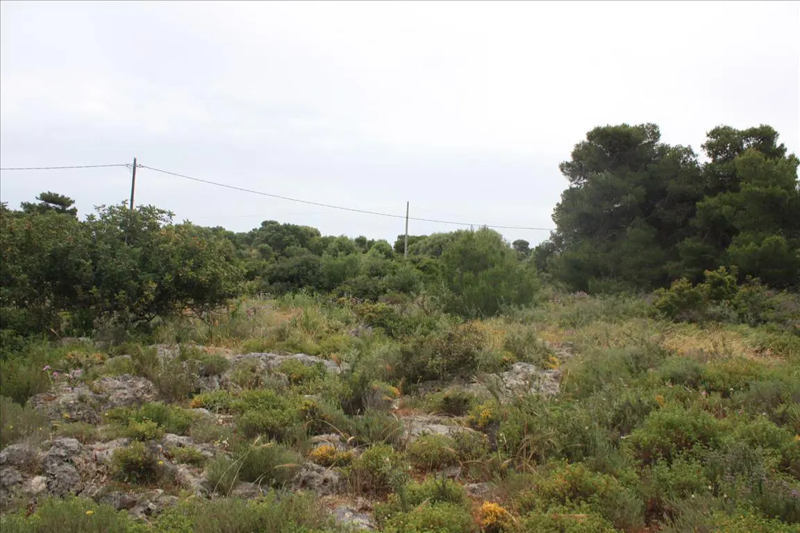 Land Of 5900 M² In Crete
