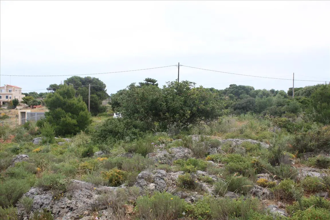 Land Of 5900 M² In Crete
