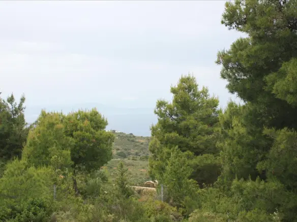 Land In Akrotiri, Greece