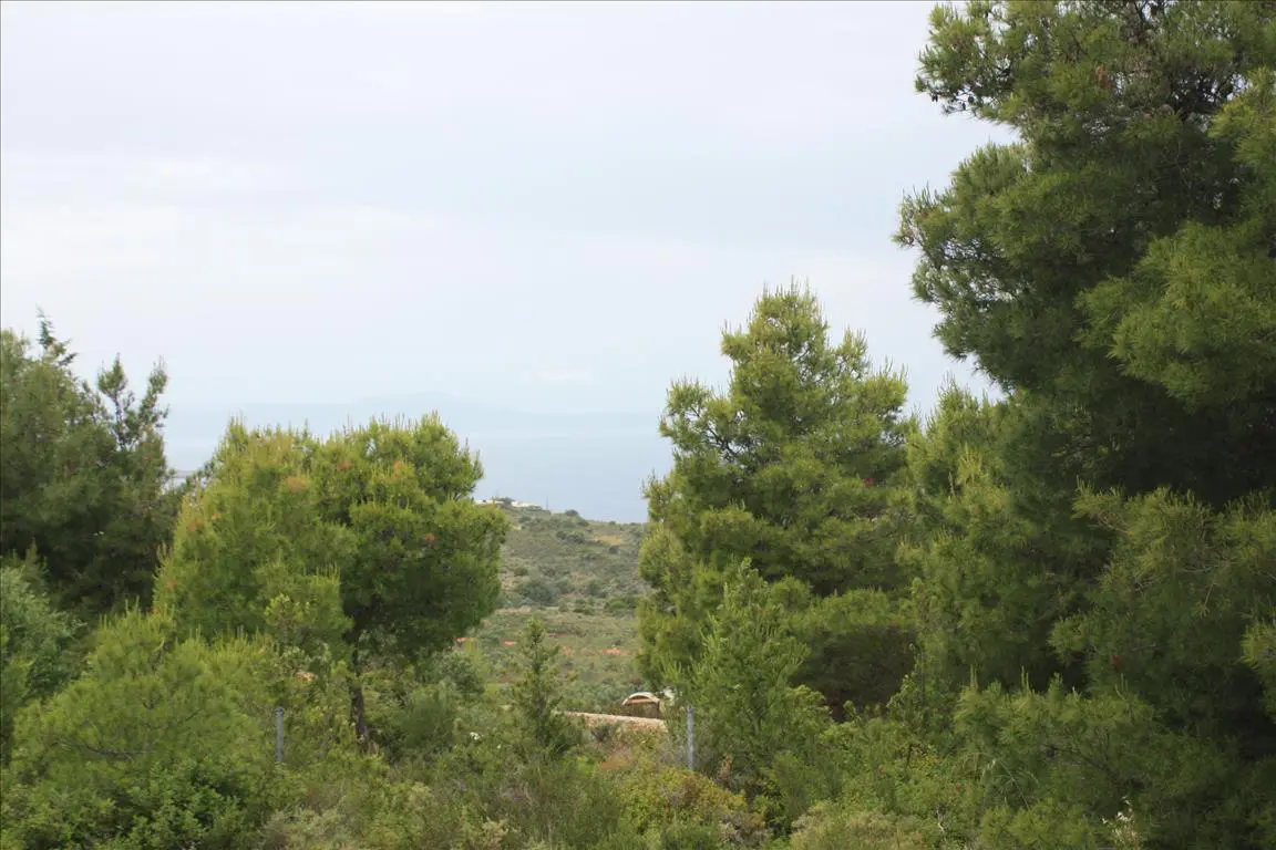 Land Of 5900 M² In Crete