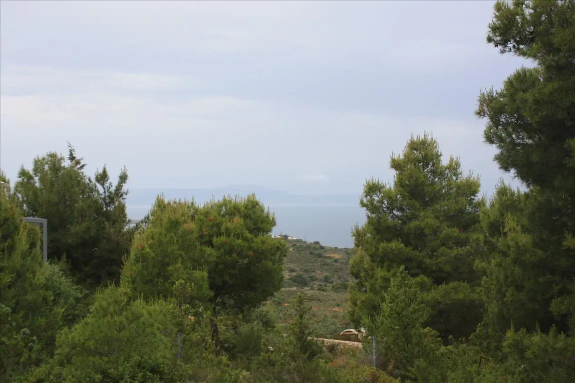 Land Of 5900 M² In Crete