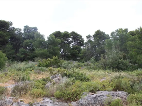 Land In Akrotiri, Greece