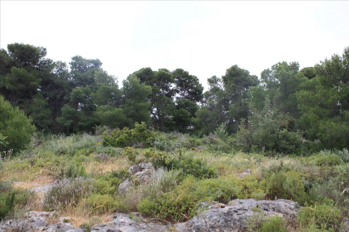 Land Of 5900 M² In Crete