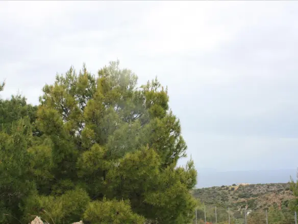 Land In Akrotiri, Greece