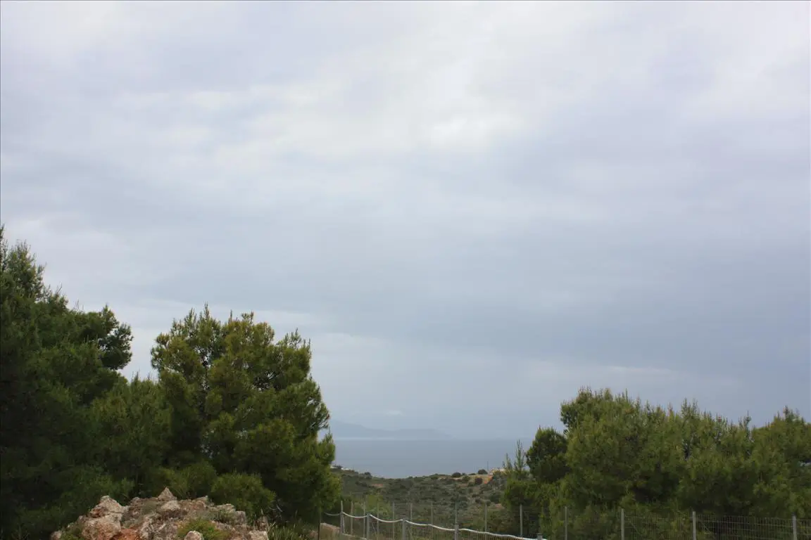 Land Of 5900 M² In Crete