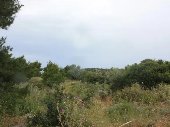 Land In Akrotiri, Greece