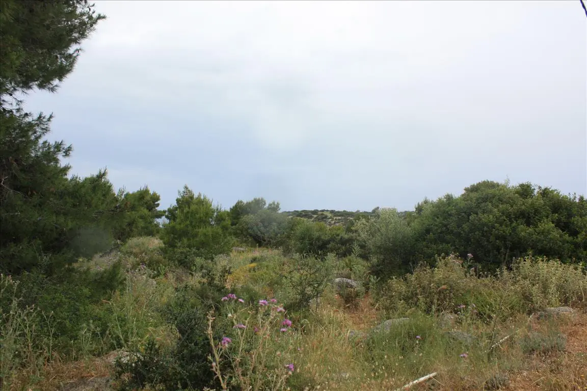 Land Of 5900 M² In Crete