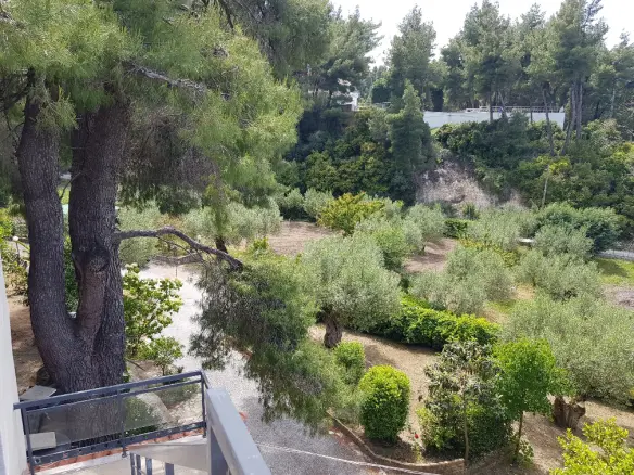 4-bedroom Detached House In Kassandra, Greece (140 M²)