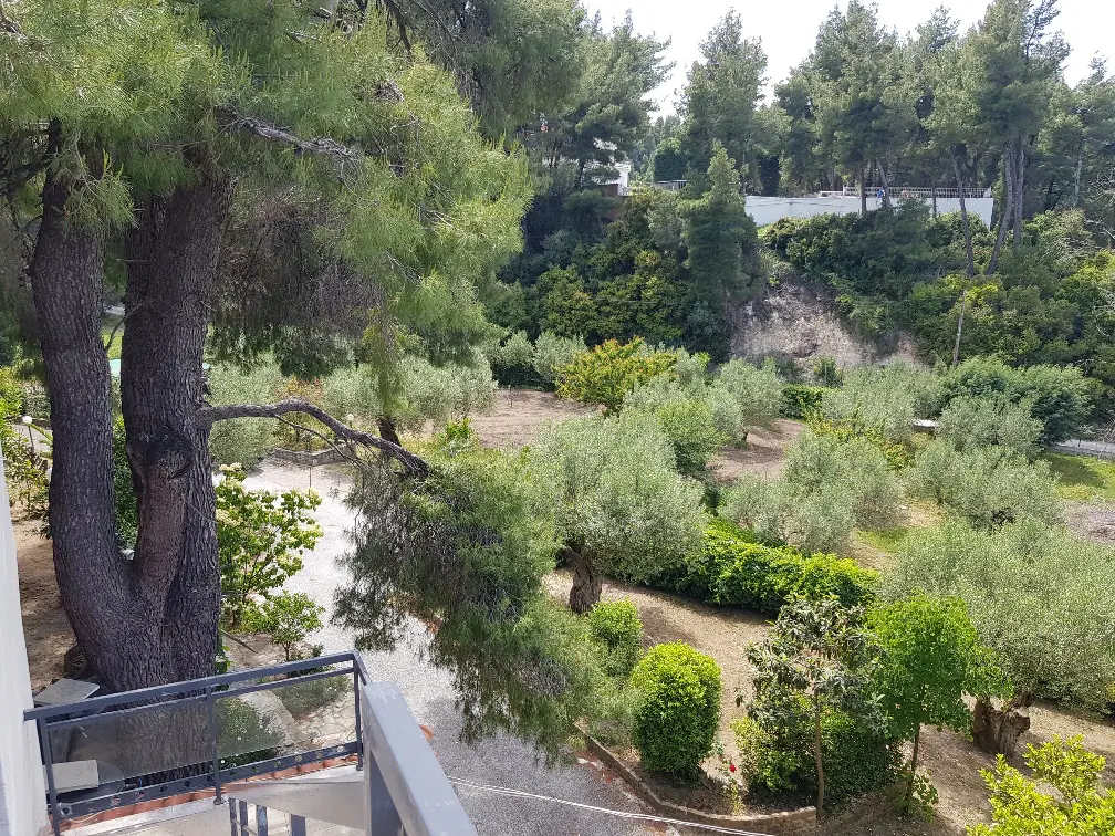 Detached House Of 140 M² In Kassandra, Chalkidiki