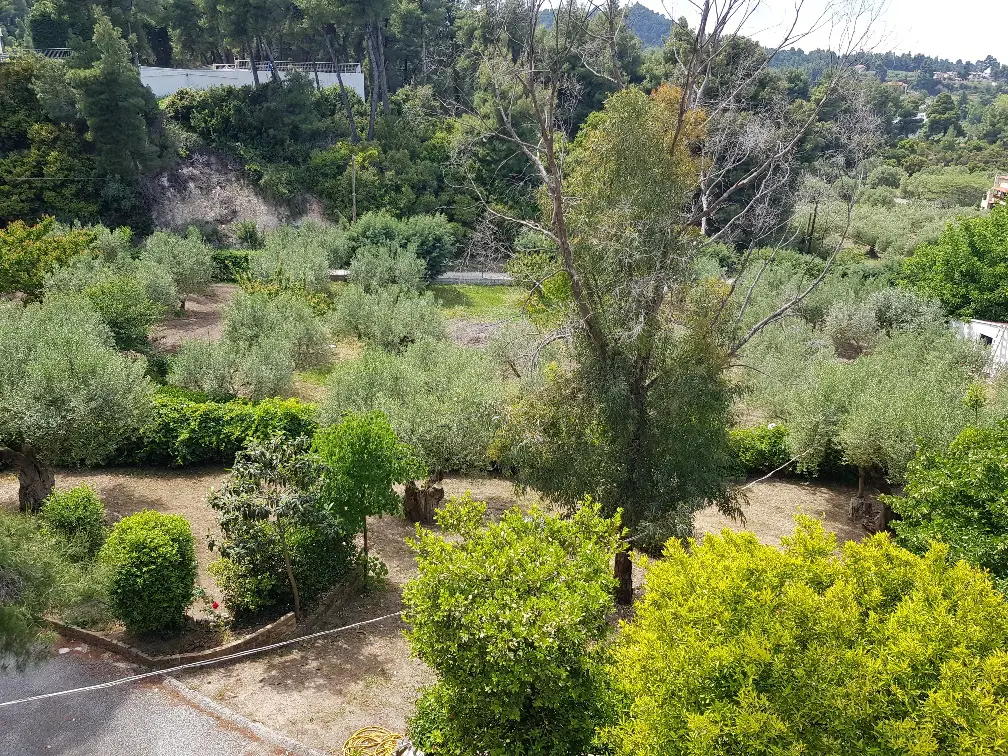 Detached House Of 140 M² In Kassandra, Chalkidiki