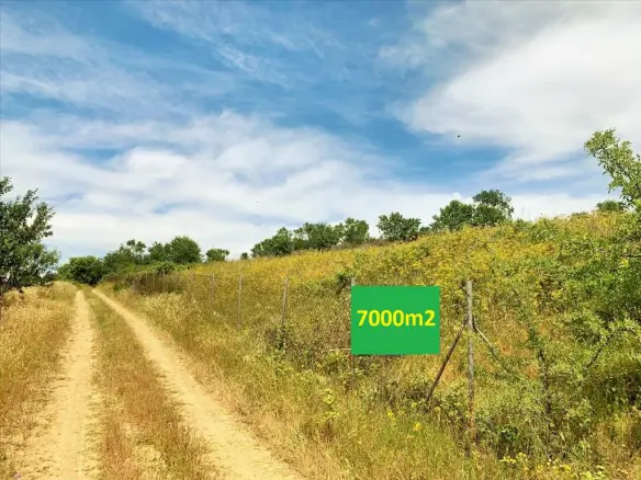 Land Of 7000 M² In The Suburbs Of Thessaloniki