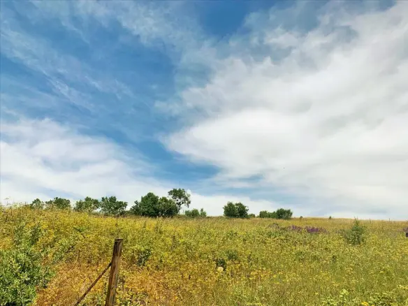 Land In Mikra, Greece (7.000 M²)