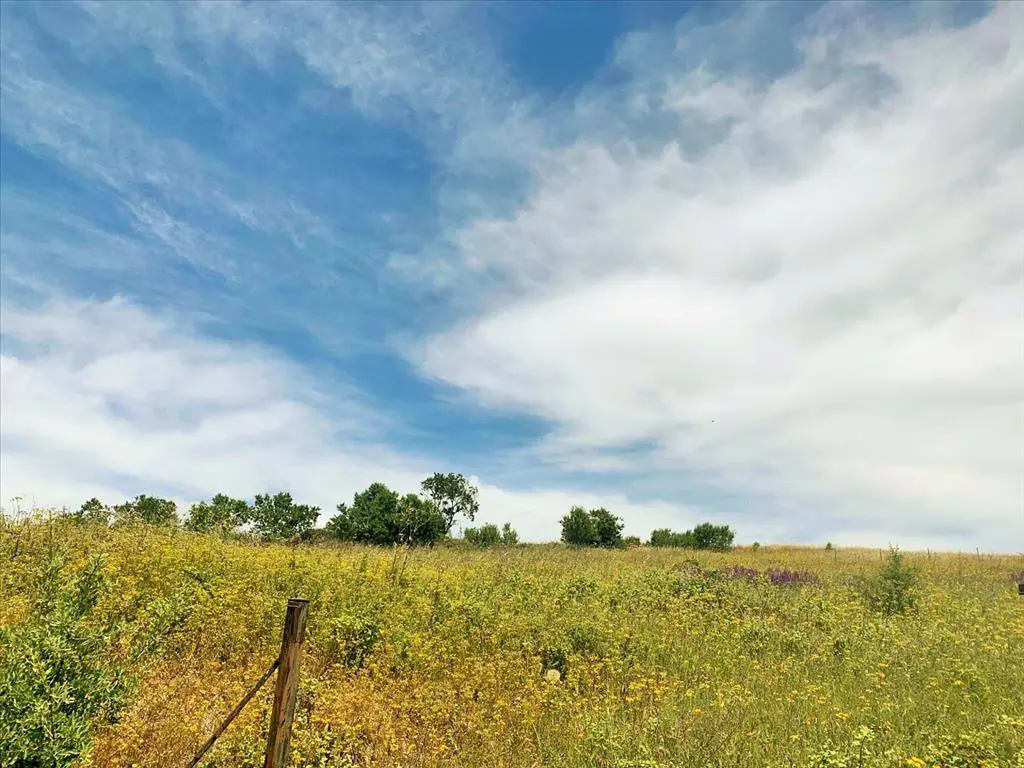 Land In Mikra, Greece (7.000 M²)