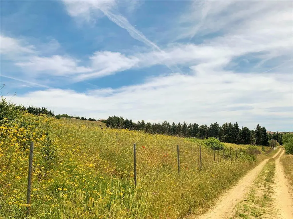 Land In Mikra, Greece (7.000 M²)