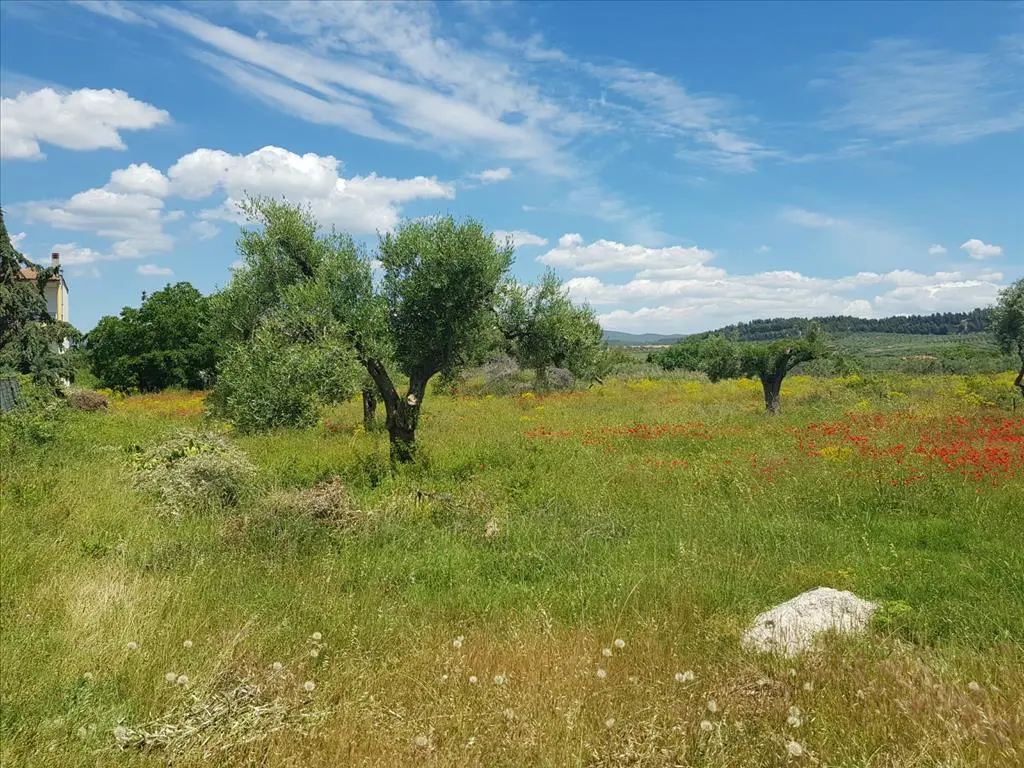 Land Of 449 M² In Sithonia, Chalkidiki