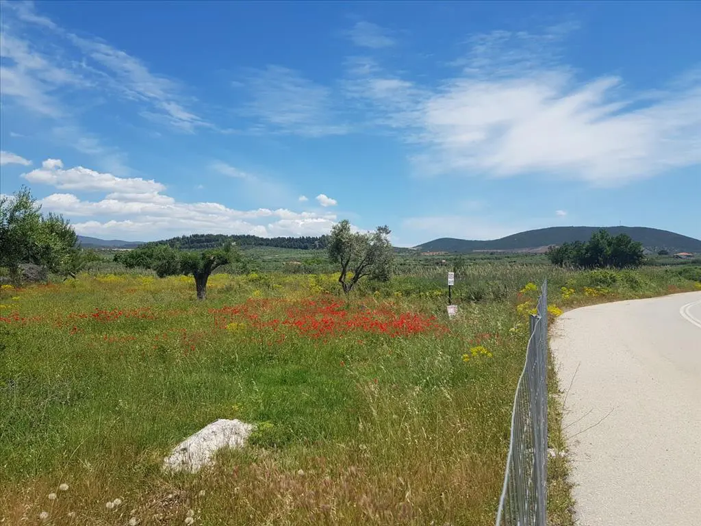 Land Of 449 M² In Sithonia, Chalkidiki