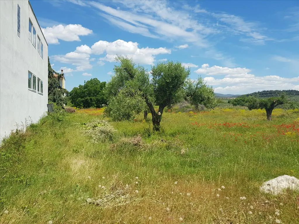 Land Of 449 M² In Sithonia, Chalkidiki