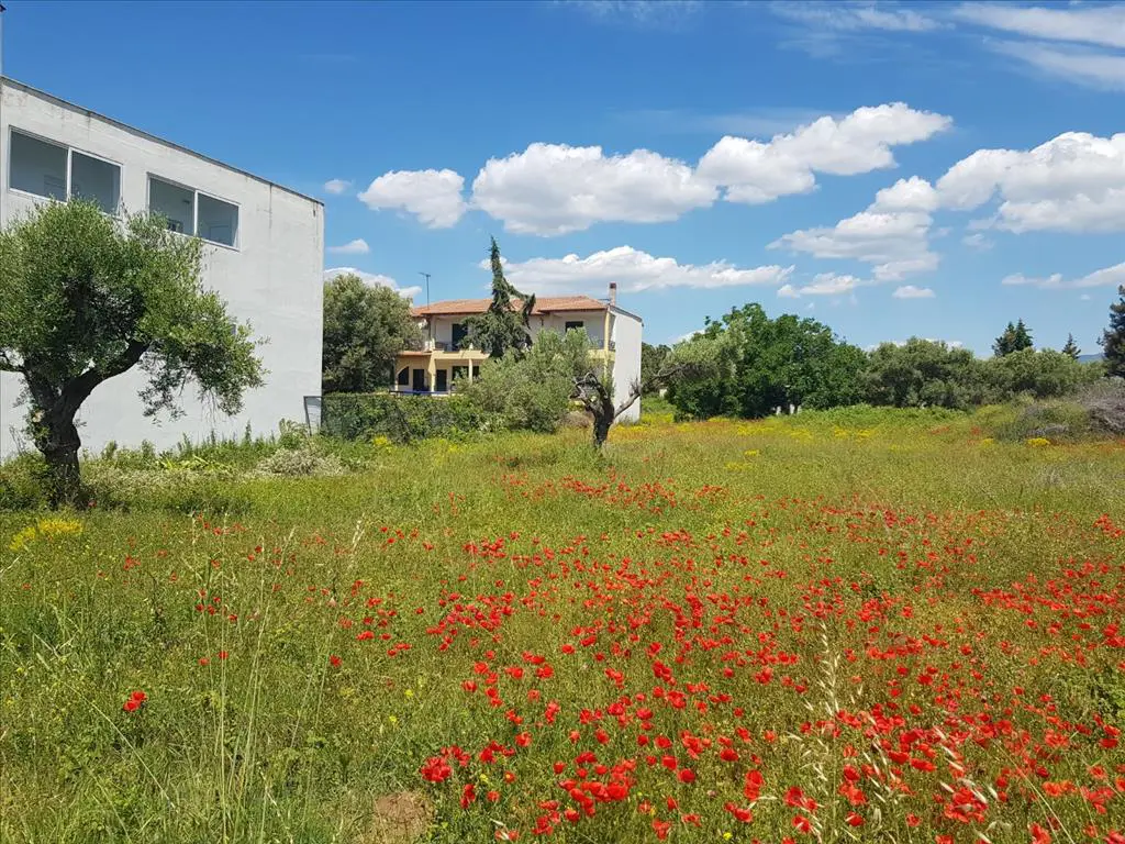 Land Of 449 M² In Sithonia, Chalkidiki