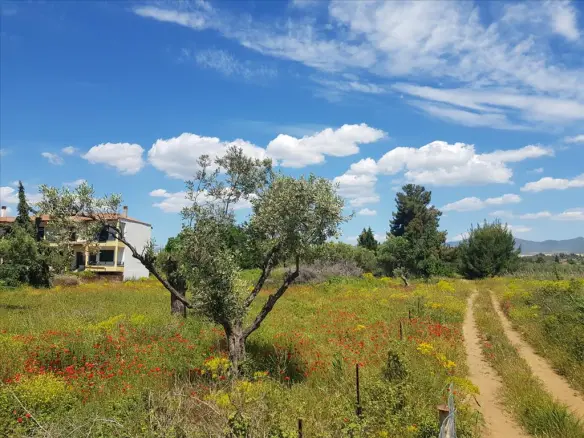 Land Of 449 M² In Sithonia, Chalkidiki