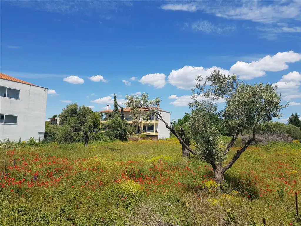 Land Of 449 M² In Sithonia, Chalkidiki
