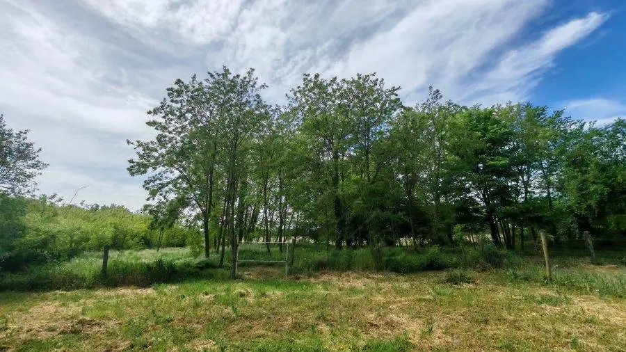 House Of 100 M² With Garden In Szentborbás, Somogy