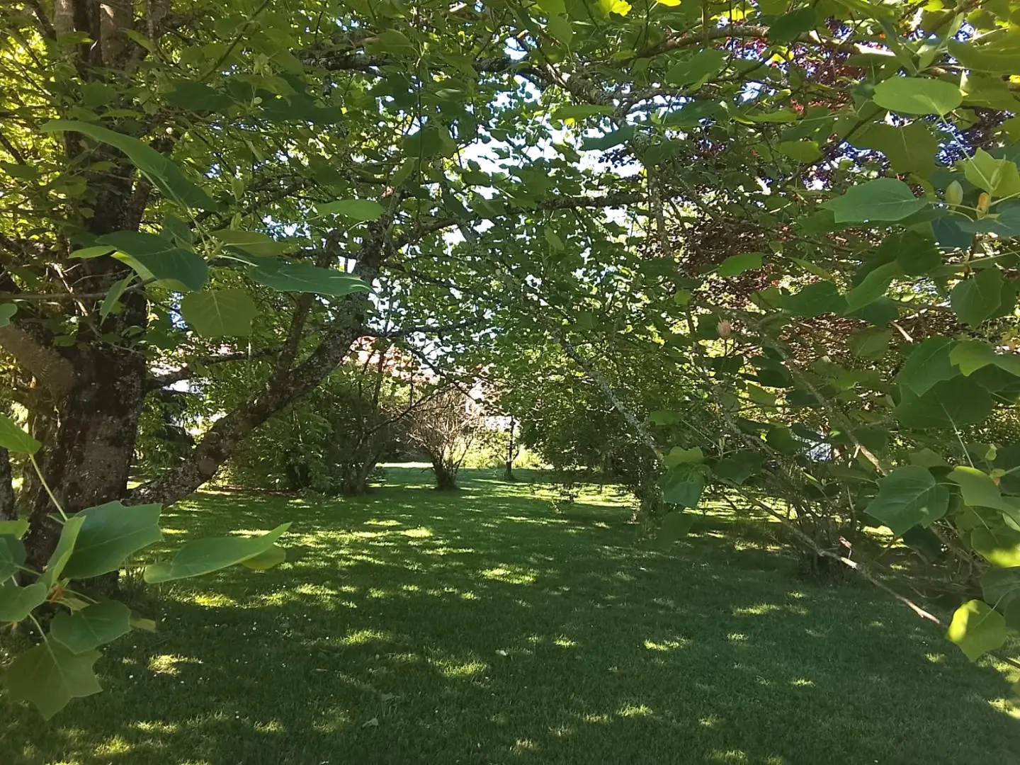 Village House Of [size] With Gardens, Views In Haute-vienne, Nr Mortemart