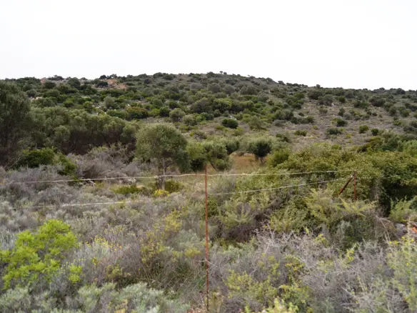 Land In Neapoli, Greece
