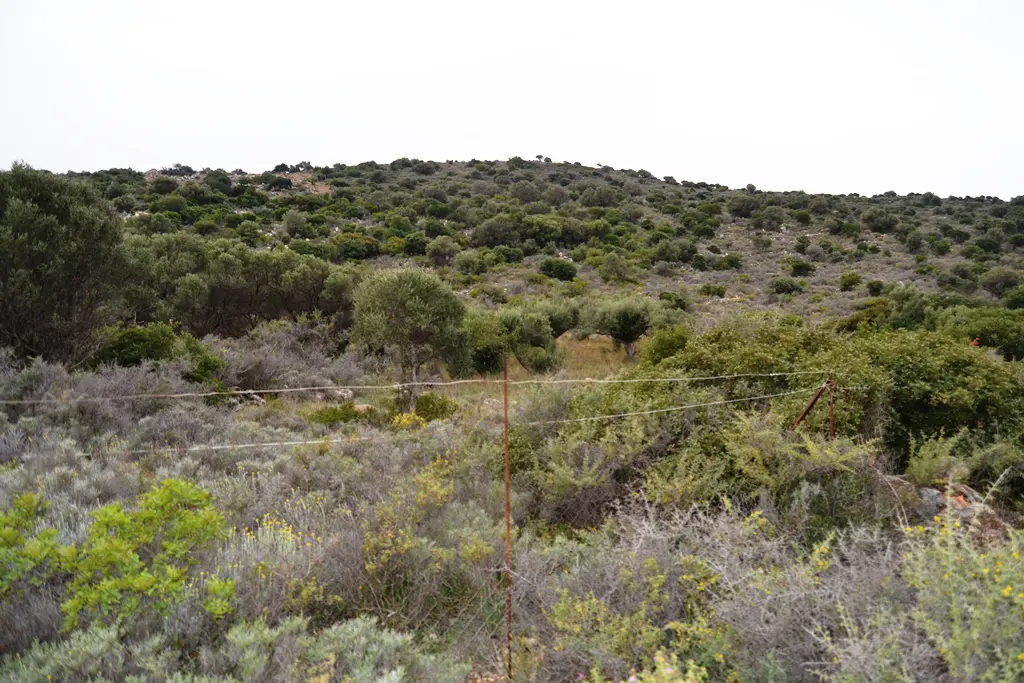 Land Of 7250 M² In Crete