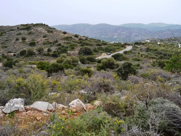 Land In Neapoli, Greece