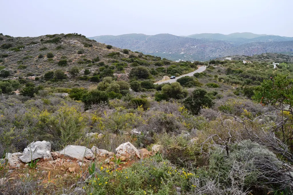 Land Of 7250 M² In Crete