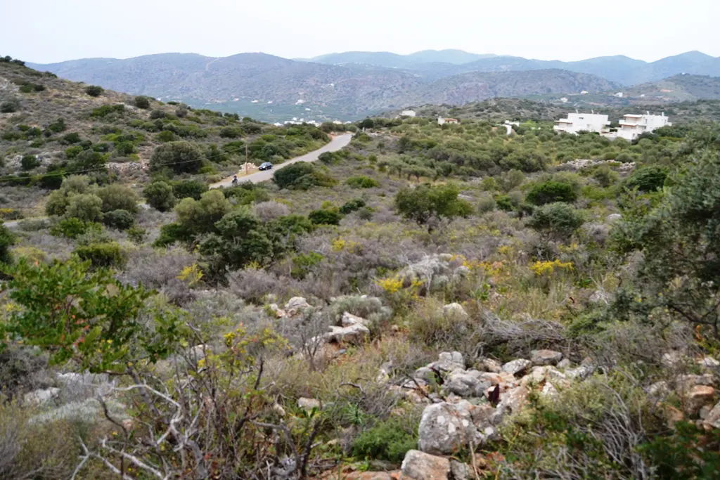Land Of 7250 M² In Crete
