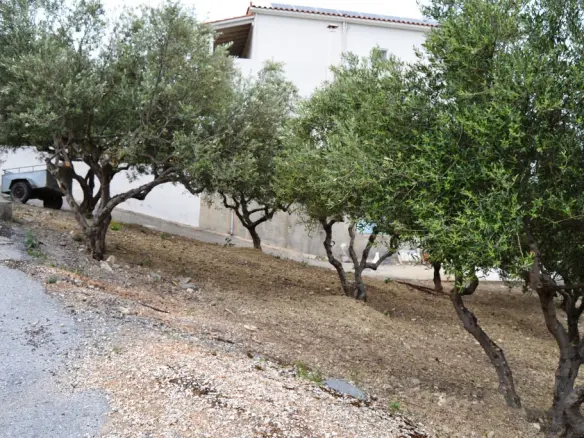 Land In Archanes, Greece