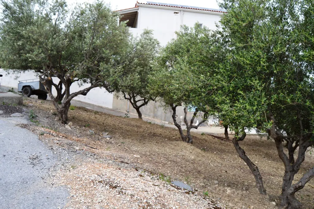 Land Of 3020 M² In Crete