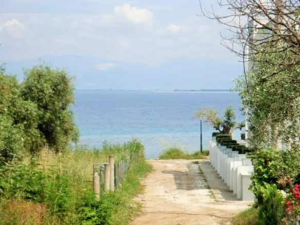 Land Of 1000 M² In Thassos