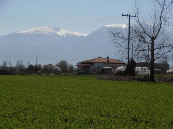 Land In Katerini, Greece