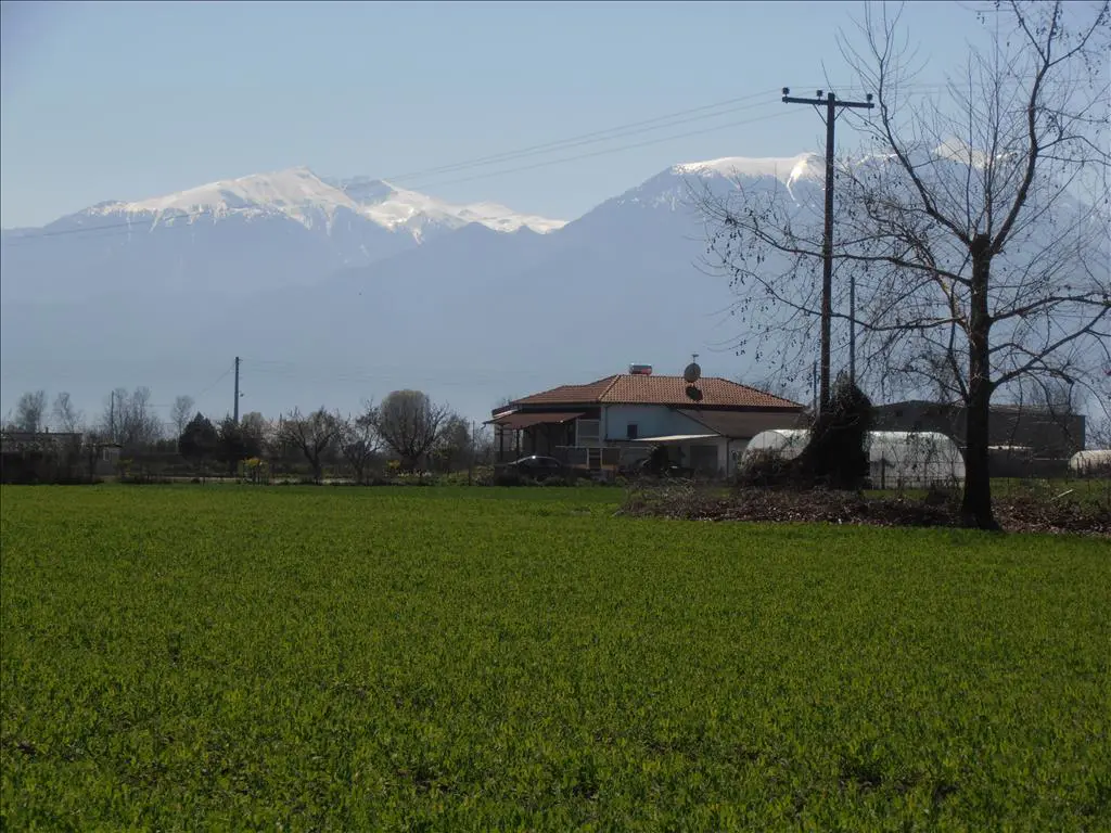 Land Of 7000 M² In Olympic Coast