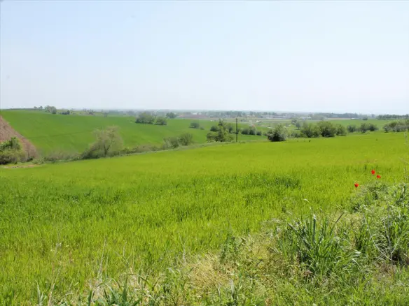 Land In Katerini, Greece