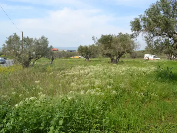 Land In Nea Propontida, Greece