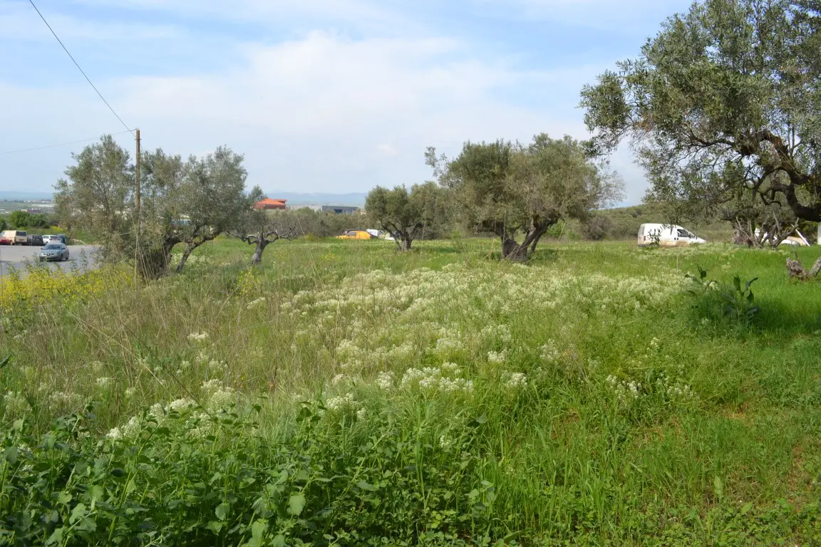 Land Of 6100 M² In Chalkidiki