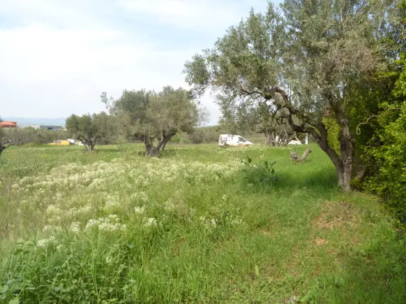 Land In Nea Propontida, Greece