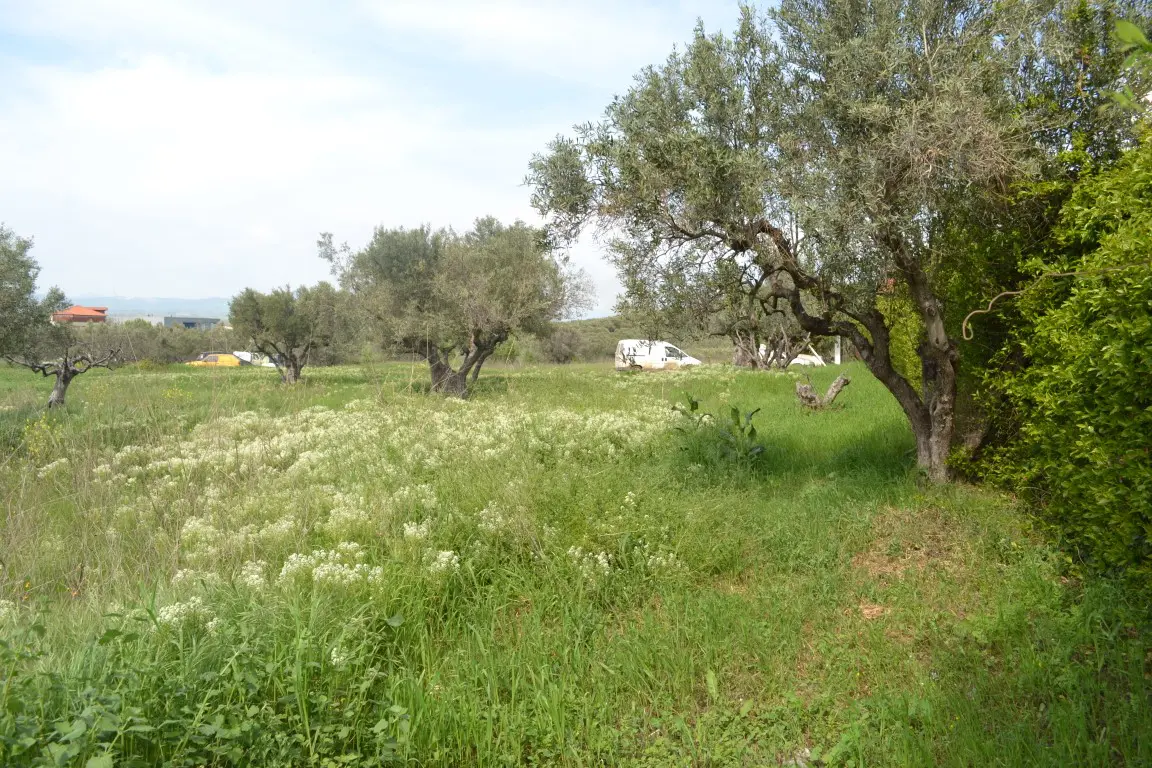 Land Of 6100 M² In Chalkidiki
