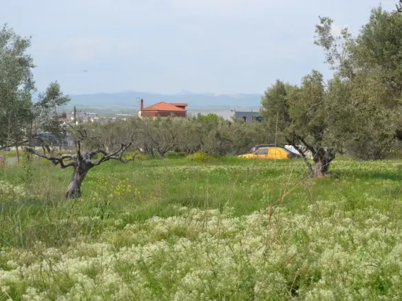 Land In Nea Propontida, Greece