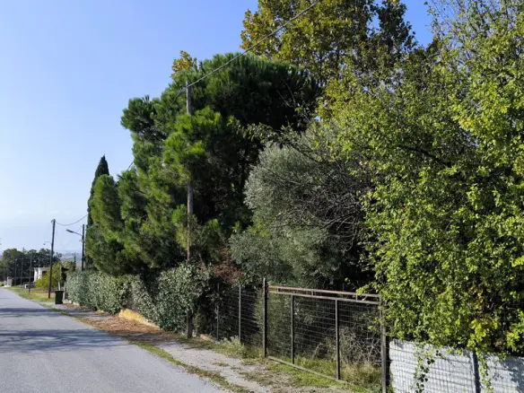 3-bedroom Detached House In Katerini, Greece (378 M²)