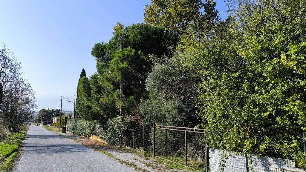 Detached House Of 378 M² With Olympic Coast In Olympic Coast